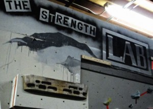 The Strength Lab