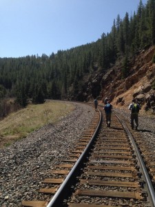 Paul Pickell Hiking by Tracks