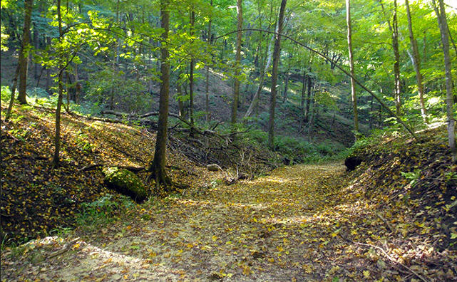 Yellow River Forest Iowa